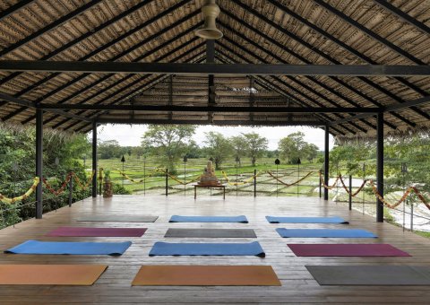 Bunte Yogamatten liegen in der Yogahalle mit Aussicht für Sie bereit