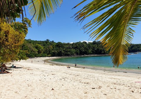 Im Schatten der Palmen am Strand entspannen
