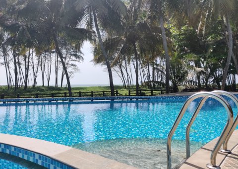 Kühlen Sie sich im Pool zwischen den Palmen ab
