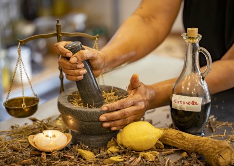 Frische Kräuter für Ihre Ayurveda Anwendungen