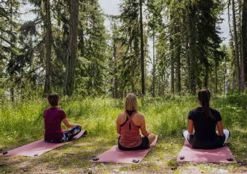 Üben Sie Yoga in der Natur