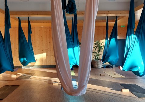 Aerial Yoga mit Dhanya Meggers