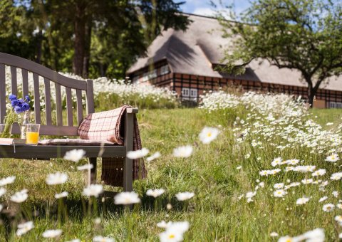 Genießen Sie die Ruhe der Natur im Hotel Park am See
