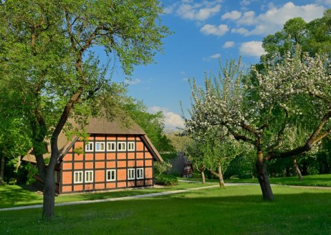 Im Frühling erblüht der Park am See