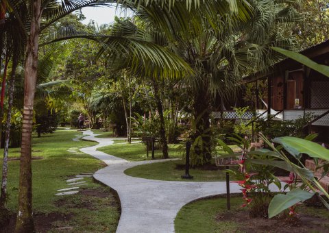 Die Bungalows liegen mitten im Grünen