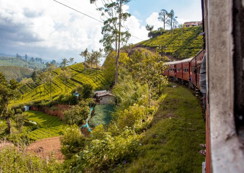 Einer der schönsten Zugfahrten der Welt erleben Sie auf Sri Lanka