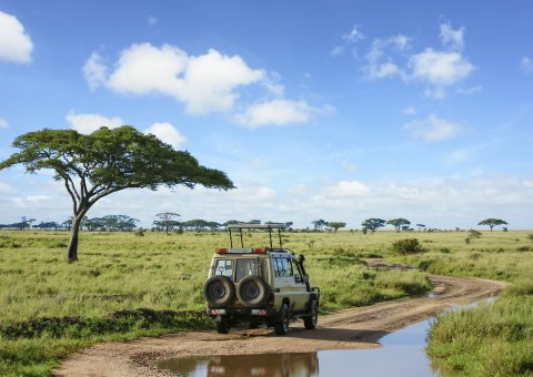 Mit dem Jeep die weite Tansanias erkunden