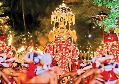 Eines der wichtigsten buddhistischen Feste auf Sri Lanka Esala Perahera