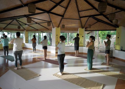 Gemeinsam Yoga in der Shala üben
