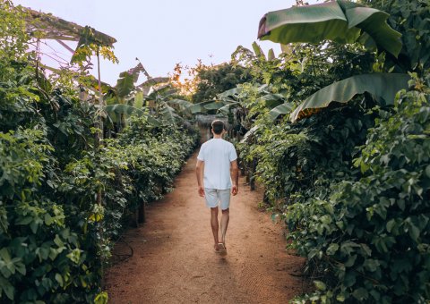 Ruhe und Erholung finden Sie im großen Garten des Resorts