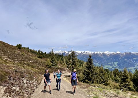 Gemeinsame Wanderungen durch die Südtiroler Berge