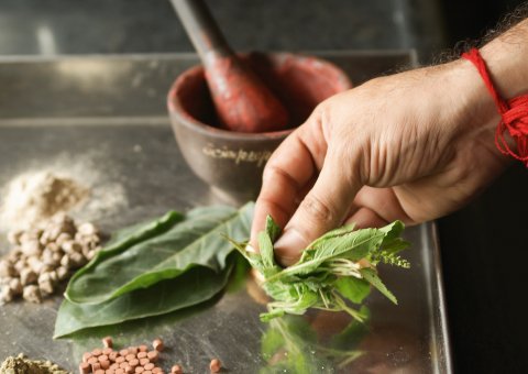 Aus Kräutern wird die natürliche ayurvedische Medizin hergestellt