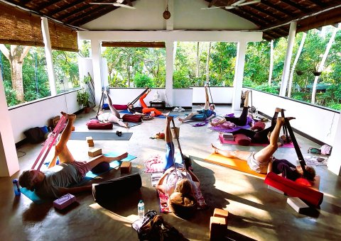 Yin Yoga mit Blick in die grüne Umgebung