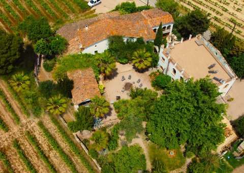 Das Alaya Retreat inmitten der Weinreben