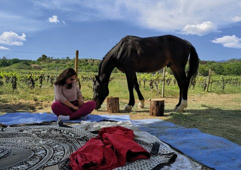 Ruhe und Ausgeglichenheit bei einer Pferde Meditation finden