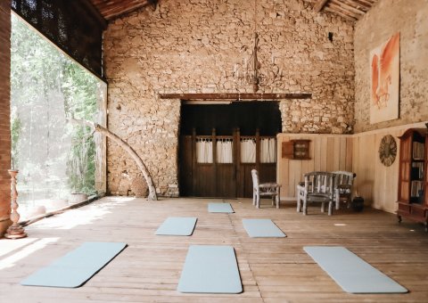 Gemeinsam Yoga üben in der hellen Shala