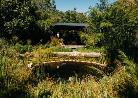Durch den Garten schlendern im Phakalane Retreat