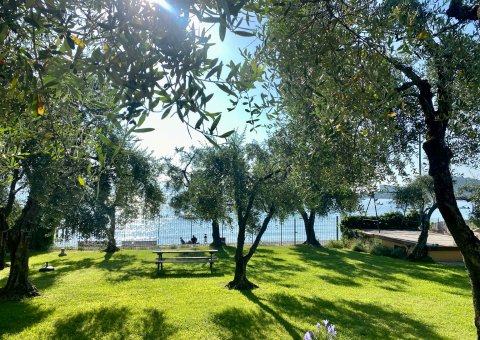 Unter Olivenbäumen und Zypresse am Gardasee entspannen
