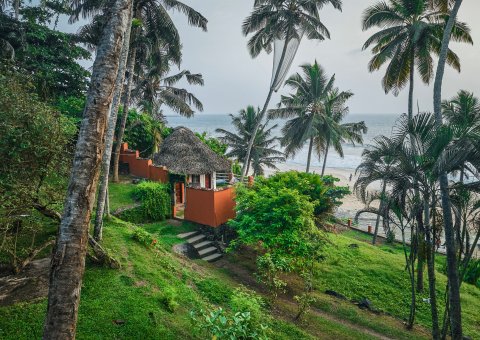 Der Garten mit Blick auf Strand und Meer
