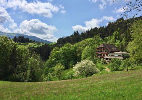 Das Steinweiden Retreat Center eingebettet zwischen Wiesen und Wäldern