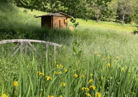 In der Sauna entspannen