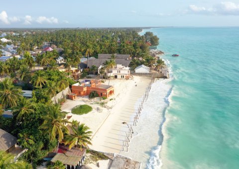 Unter Palmen entspannen