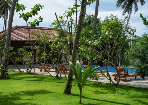 Der Pool mit großzügigem Garten