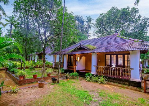 Die Bungalows liegen mitten im Grünen