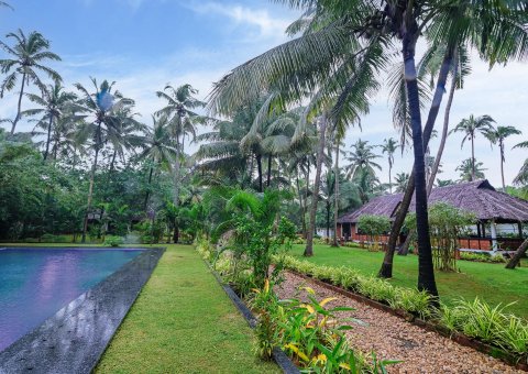 Unter Palmen durch die Anlage spazieren