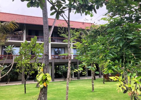 Der Garten voller ayurvedischer Heilpflanzen mit Blick auf die Zimmer