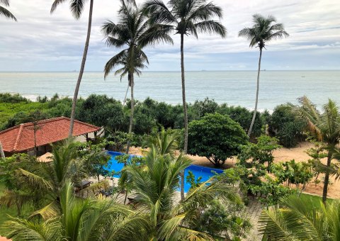 Der wunderschöne Blick auf den Garten und das Meer
