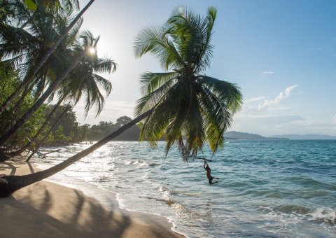 Der Punta Uva Strand an der Karibikküste Costa Ricas