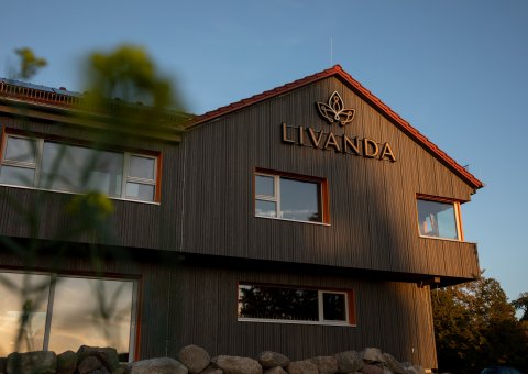 Moderne trifft Gemütlichkeit im LIVANDA Ayurvedazentrum