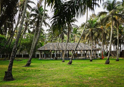 Die offene Yogahalle für Ihre täglichen Yoga-Einheiten