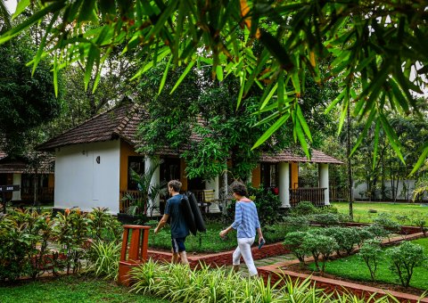 Auf dem Weg zu Ihren täglichen Ayurveda-Anwendungen