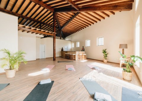 Die helle Yogashala