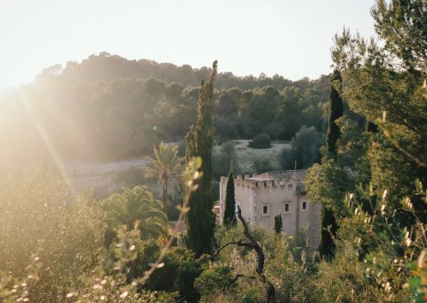 Die grüne Umgebung der Finca